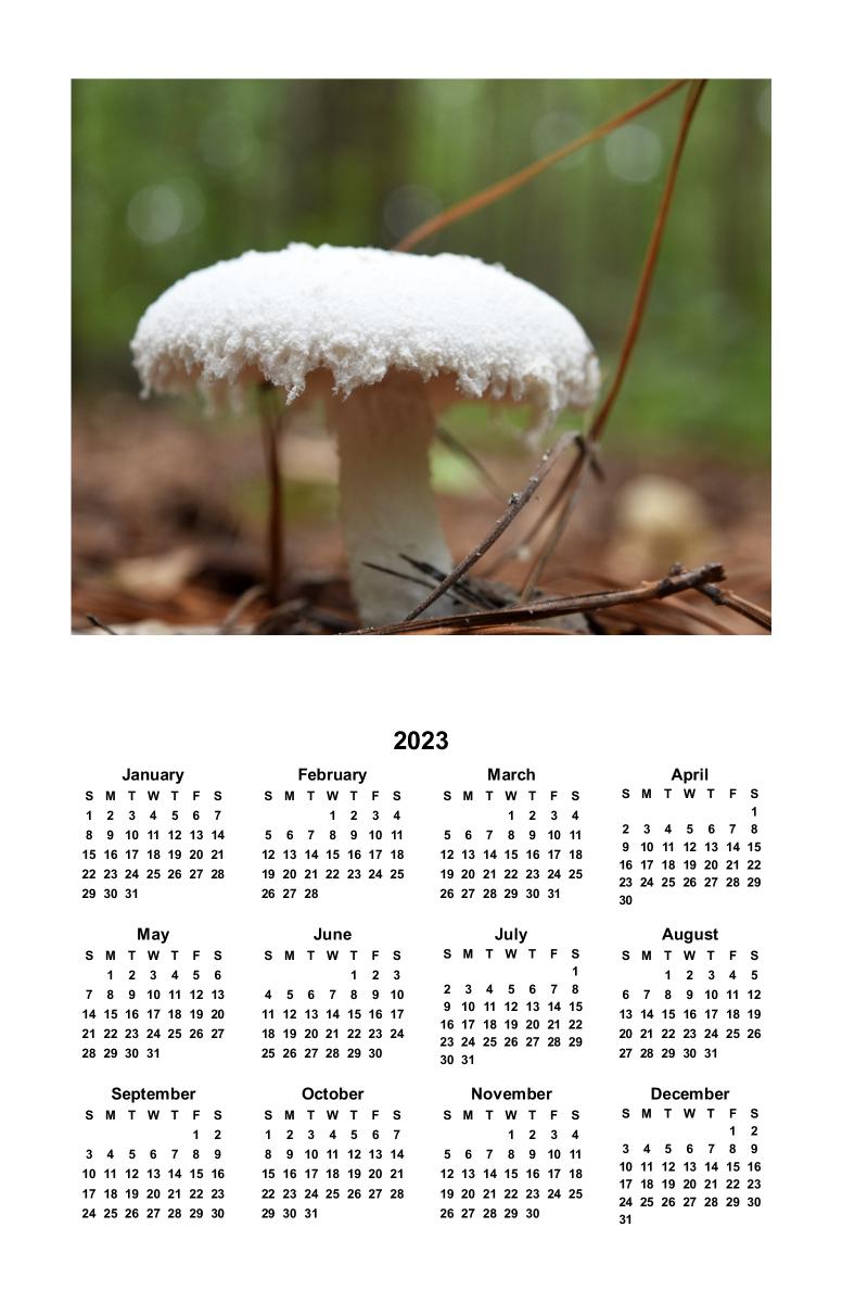 Mushroom Calendar Create Photo Calendars