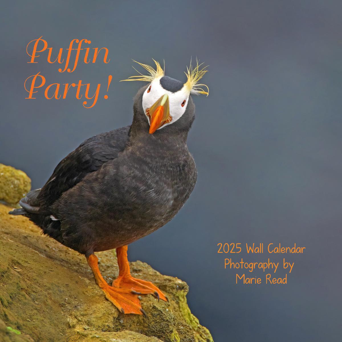 Puffin Party 2025 Wall Calendar