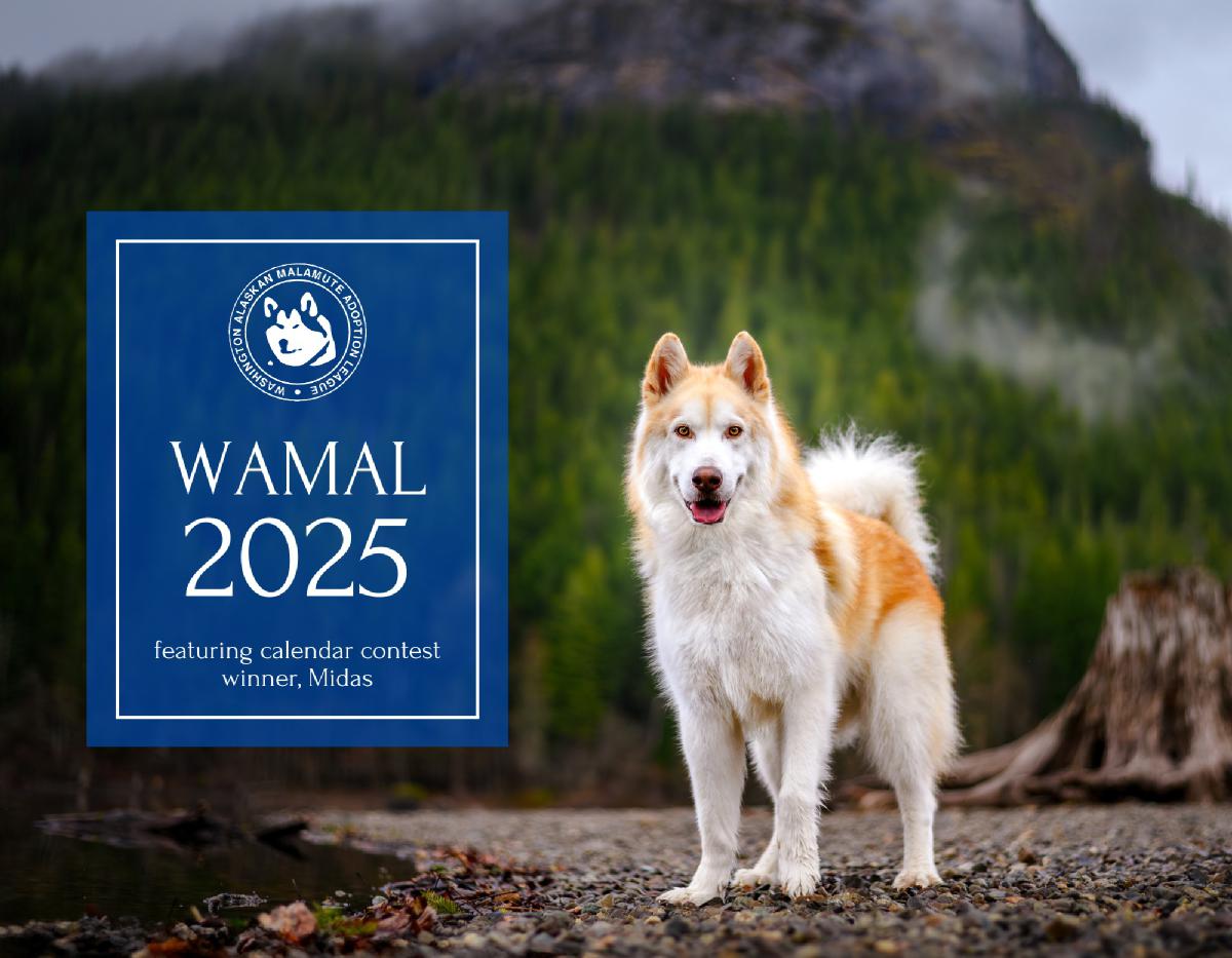 2025 WAMAL Calendar