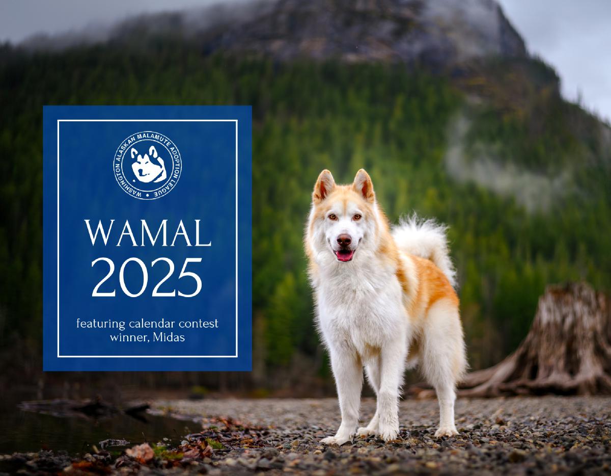 2025 WAMAL Calendar