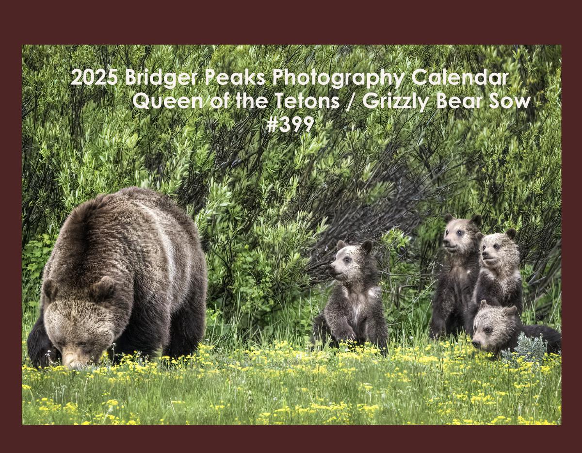 2025 Tribute to GTNP Grizzly Bear Sow #399