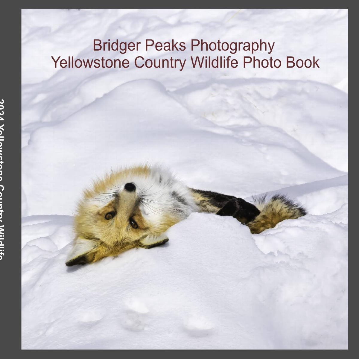 2025Y Yellowstone Country Wildlife Photo Book