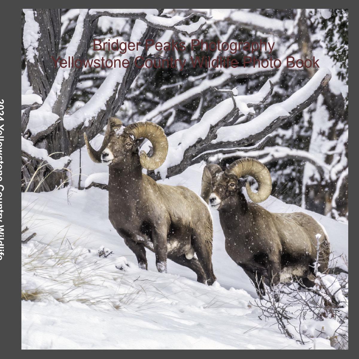 2025Y Yellowstone Country Wildlife Photo Book