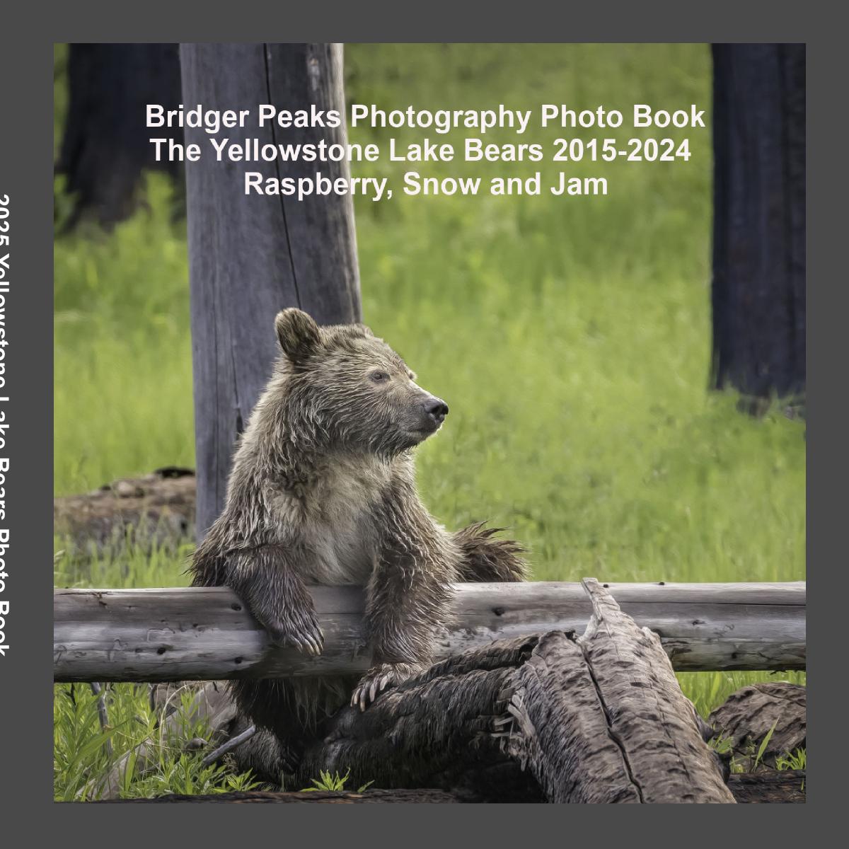 2025 Yellowstone Lake Bears 2015-2023