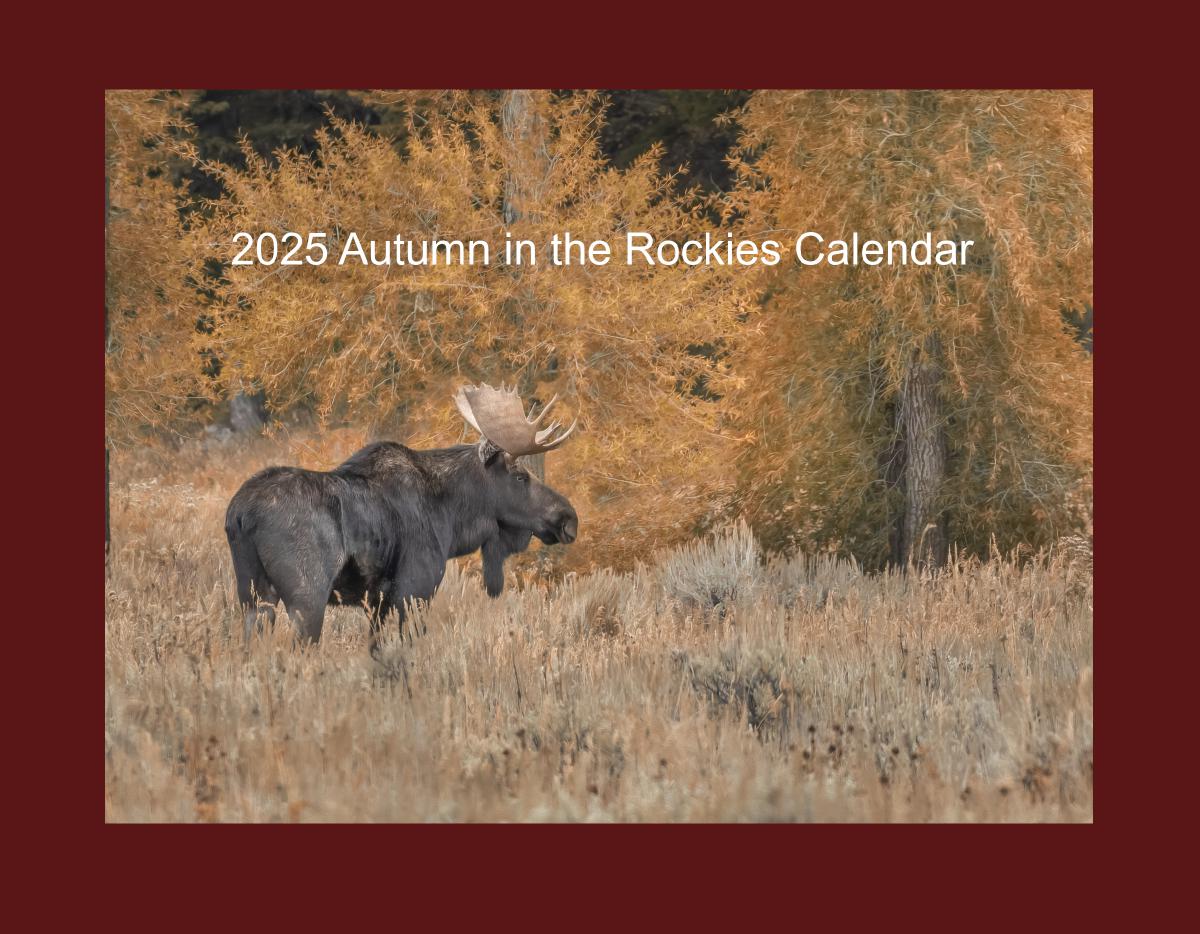 2025 Autumn in the Rockies Wall Calendar