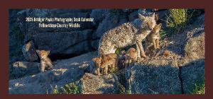 2025 Yellowstone Country Wildlife DESK Calendar