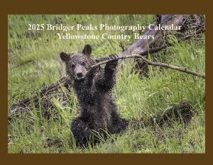 2025 ellowstone Country Bears Calendar