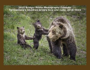 2025 Yellowstone's Obsidian Sow and Cub 2016-2022