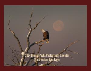 2025 American Bald Eagle Wall Calendar