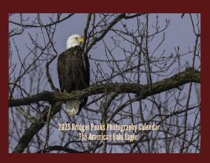 2025 American Bald Eagle Wall Calendar