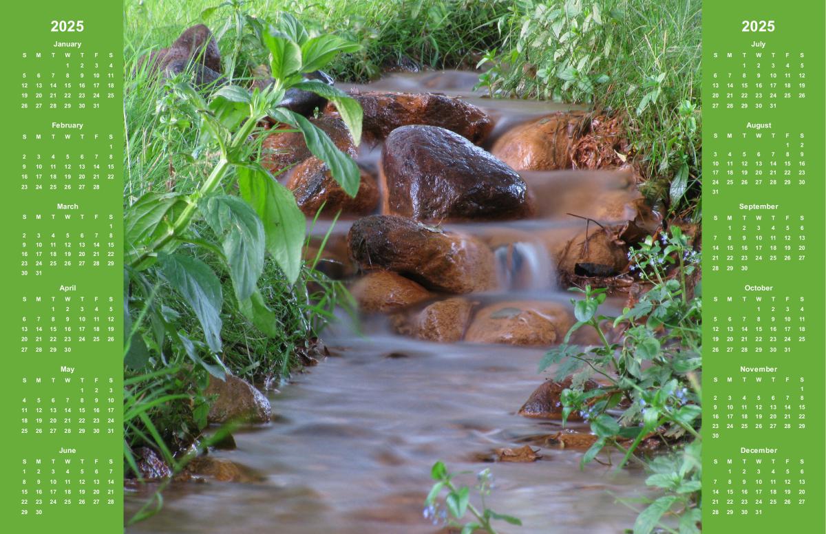 Serene Stream in Motion