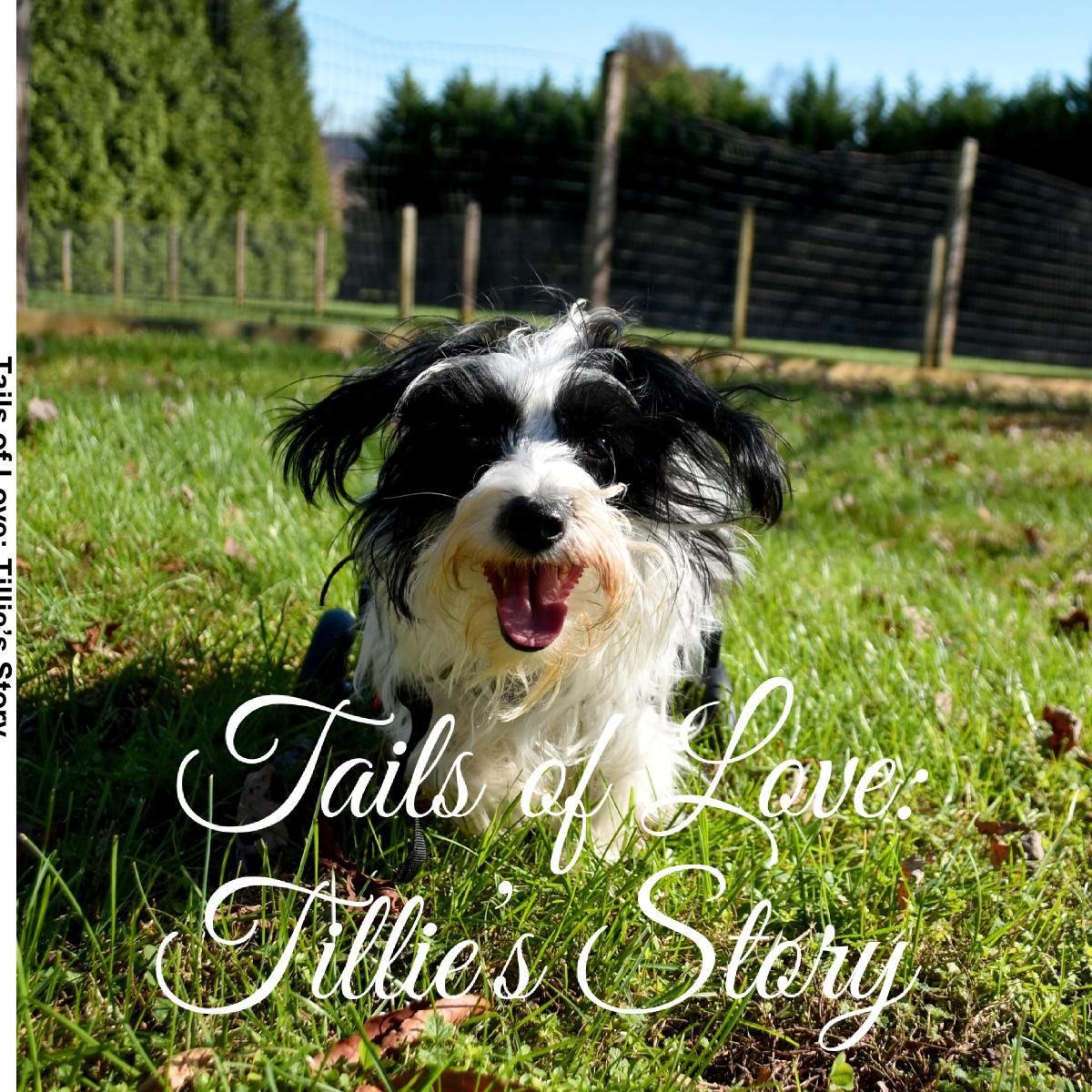 Tails of Love: Tillie's Story