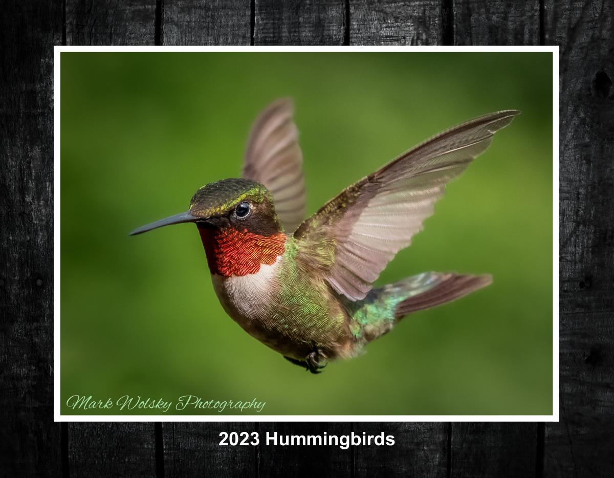 2022 Hummingbird Wall Calendar | Create Photo Calendars