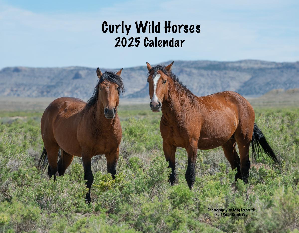 2025 Curly Wild Horse Calendar