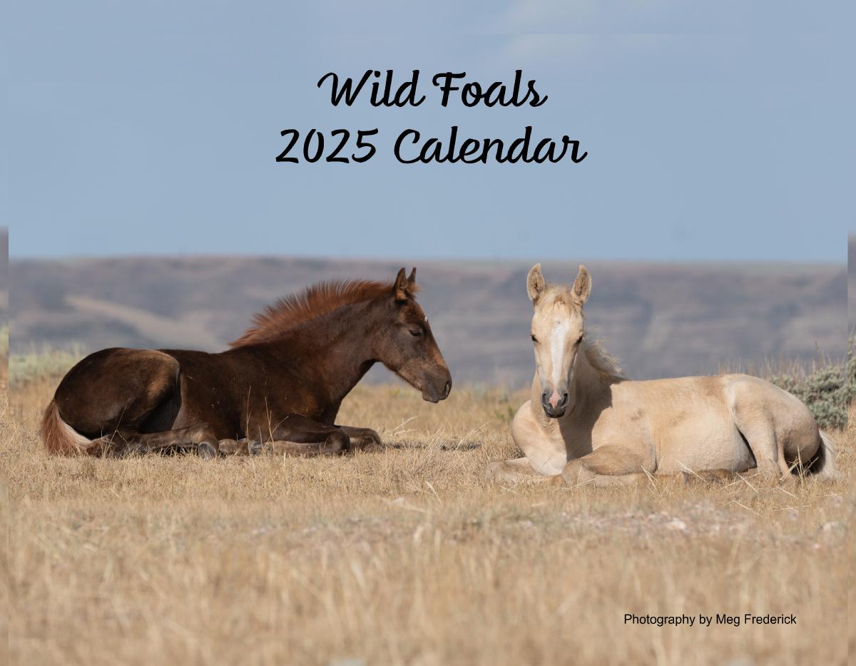 2025 Wild Foals Calendar