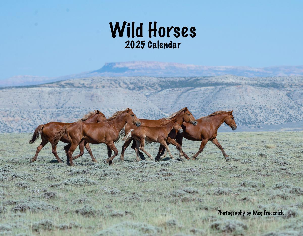 2025 Wild Horses