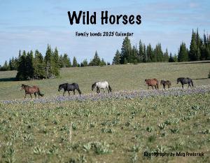 2025 Wild Horse family bands