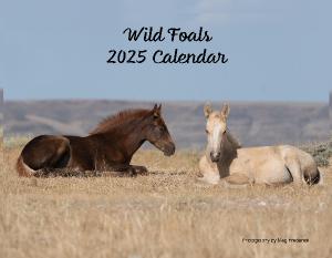 2025 Wild Foals Calendar