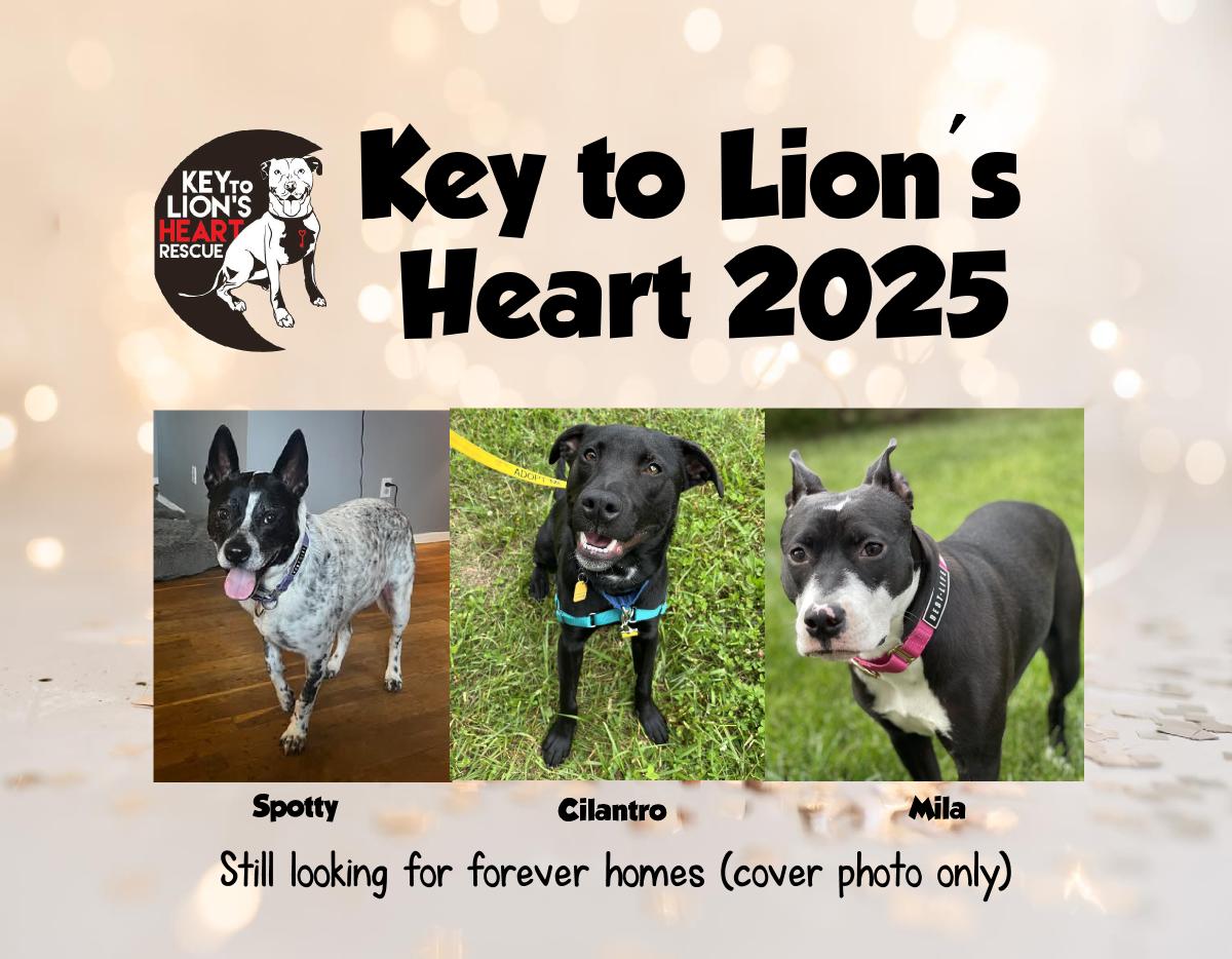 Key to Lion's Heart 2025 Calendar