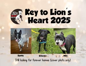 Key to Lion's Heart 2025 Calendar