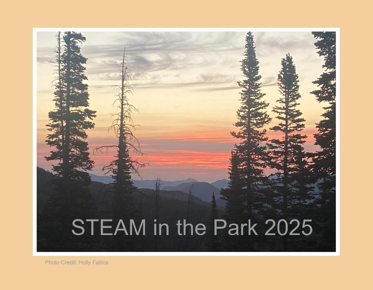 STEAM in the Park 2025