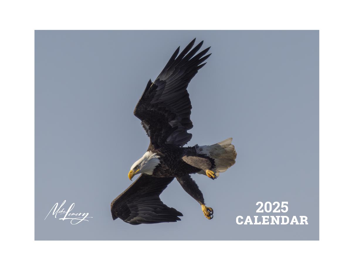 Mike Lemery Films 2025 Bald Eagle Calendar