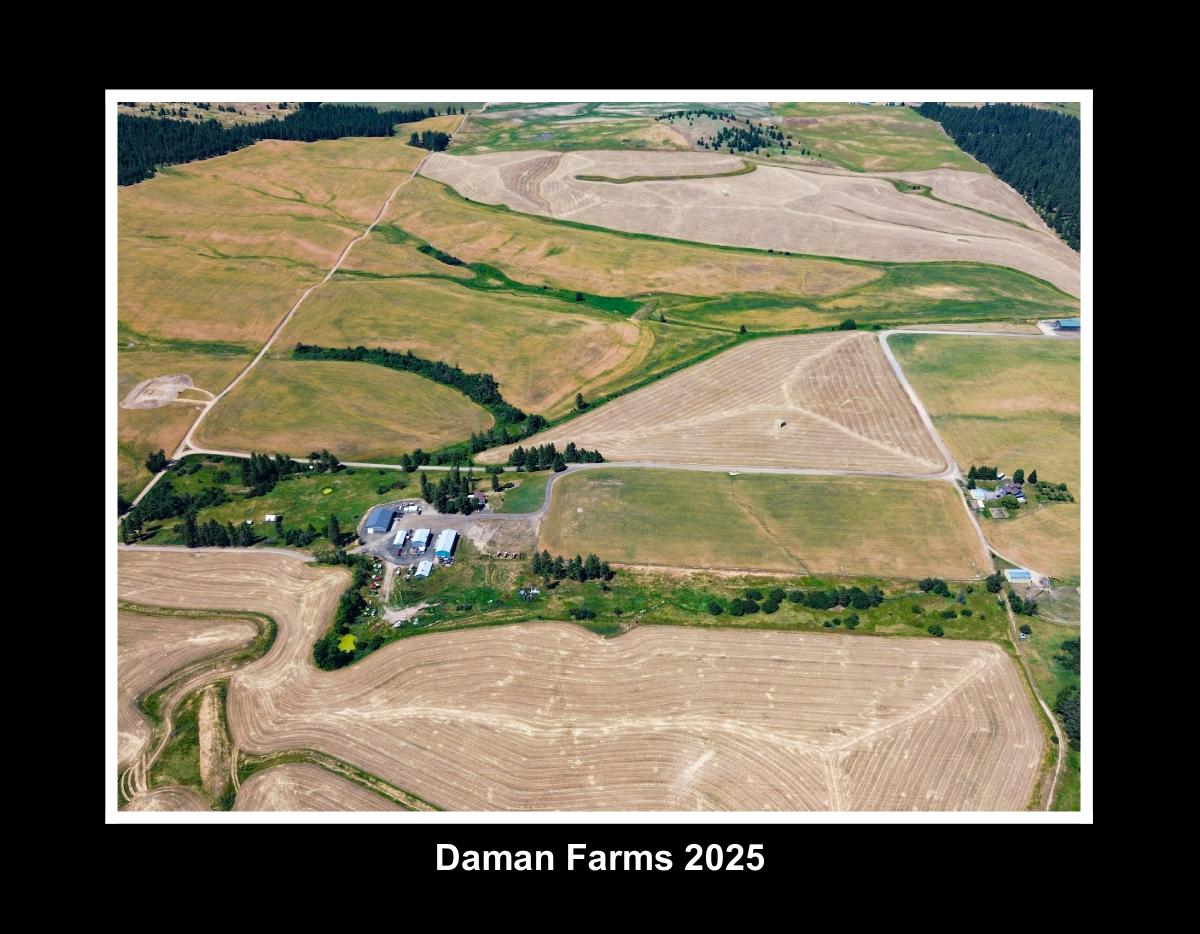 Daman Farm