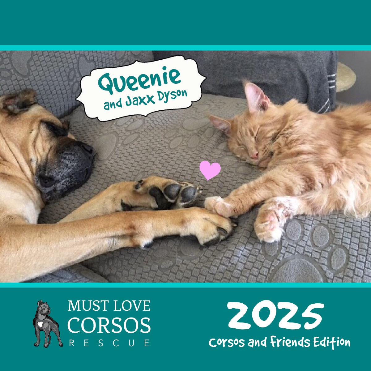 Must Love Corsos Rescue 2025- 12x12