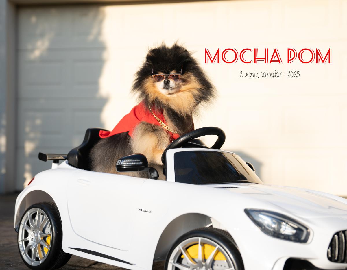 Mocha Pom 2025 Wall Calendar