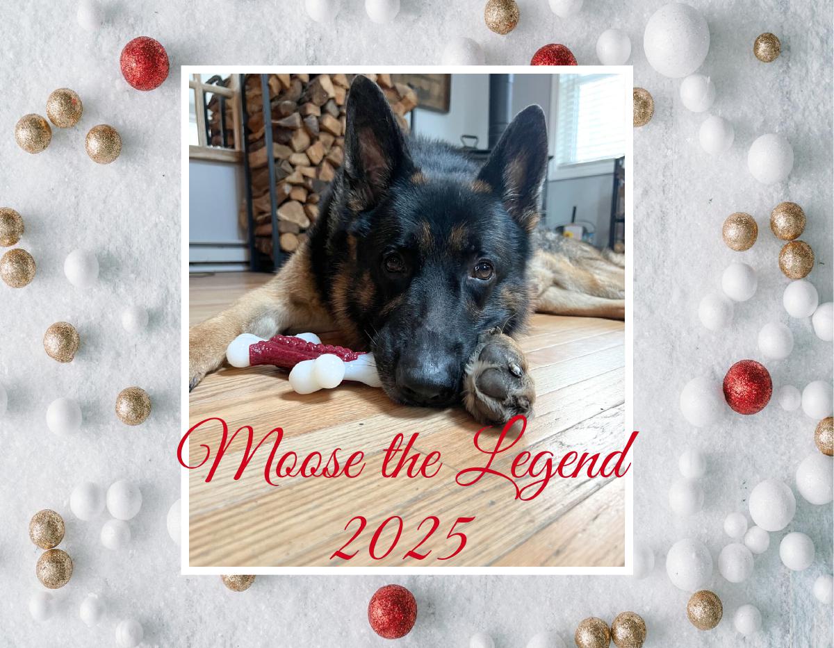 Moose the Legend 2025 Calendar