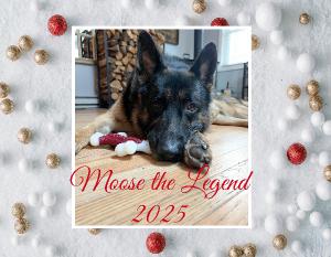 Moose the Legend 2025 Calendar