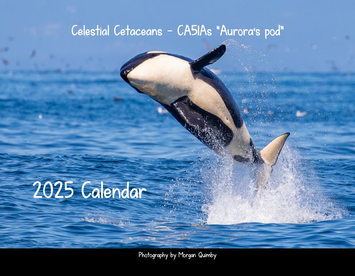 Celestial Cetaceans 2025 Calendar