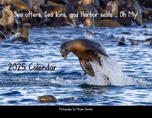 Pinnipeds and Fissipeds of Monterey 2025 Calendar