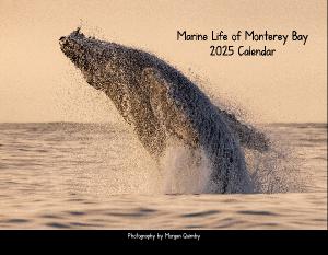 Marine Life of Monterey Bay 2025 Calendar