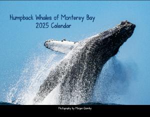 Humpback whales of Monterey Bay 2025 Calendar