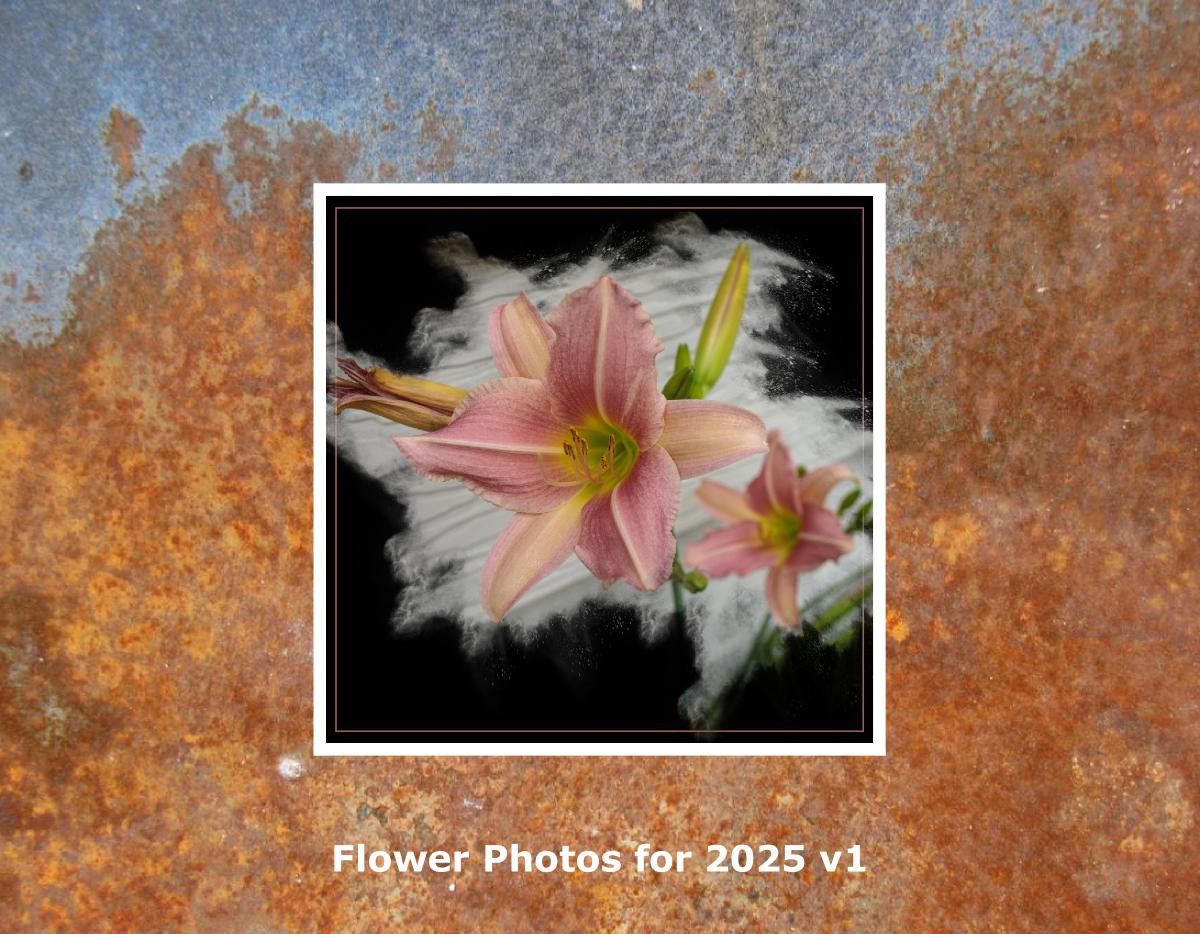 Flower Photos for 2025 v1