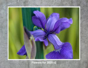 Flower photos for 2025 v2