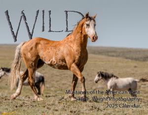 2025 WILD, Mustangs of America 13 month calendar