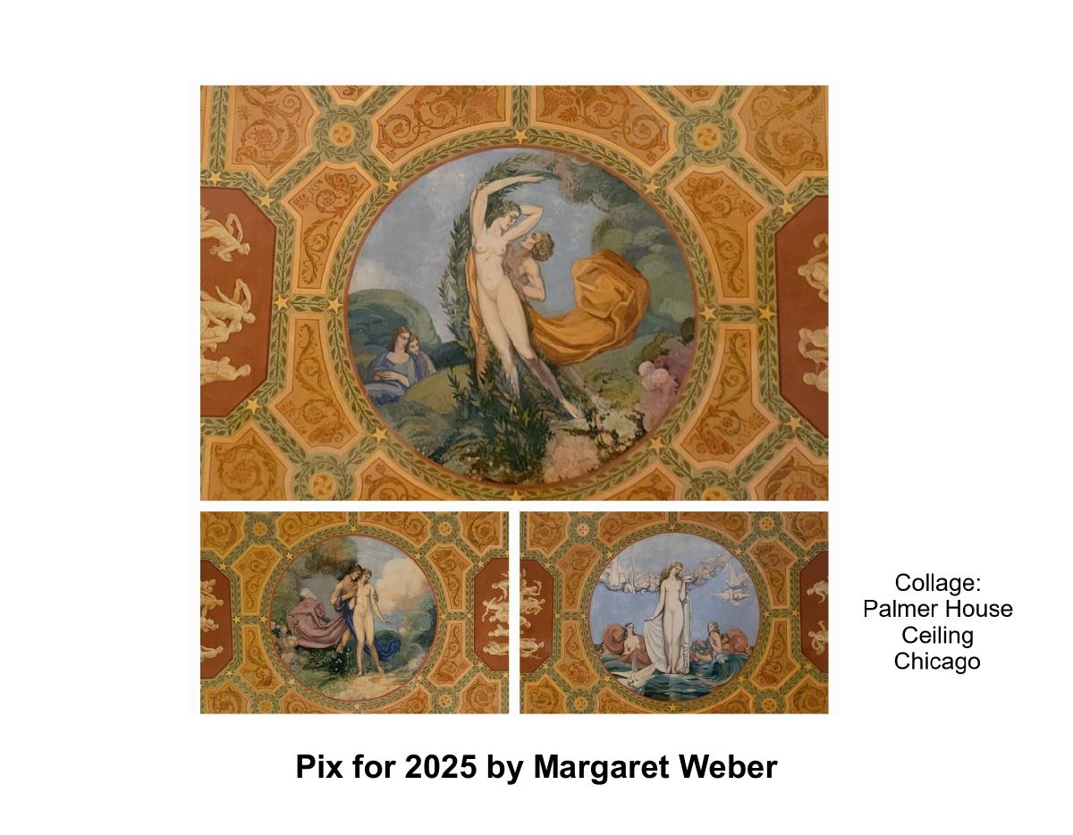 Mix of Pix for 2025 by M Weber