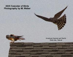 2025 Calendar of Birds by M. Weber