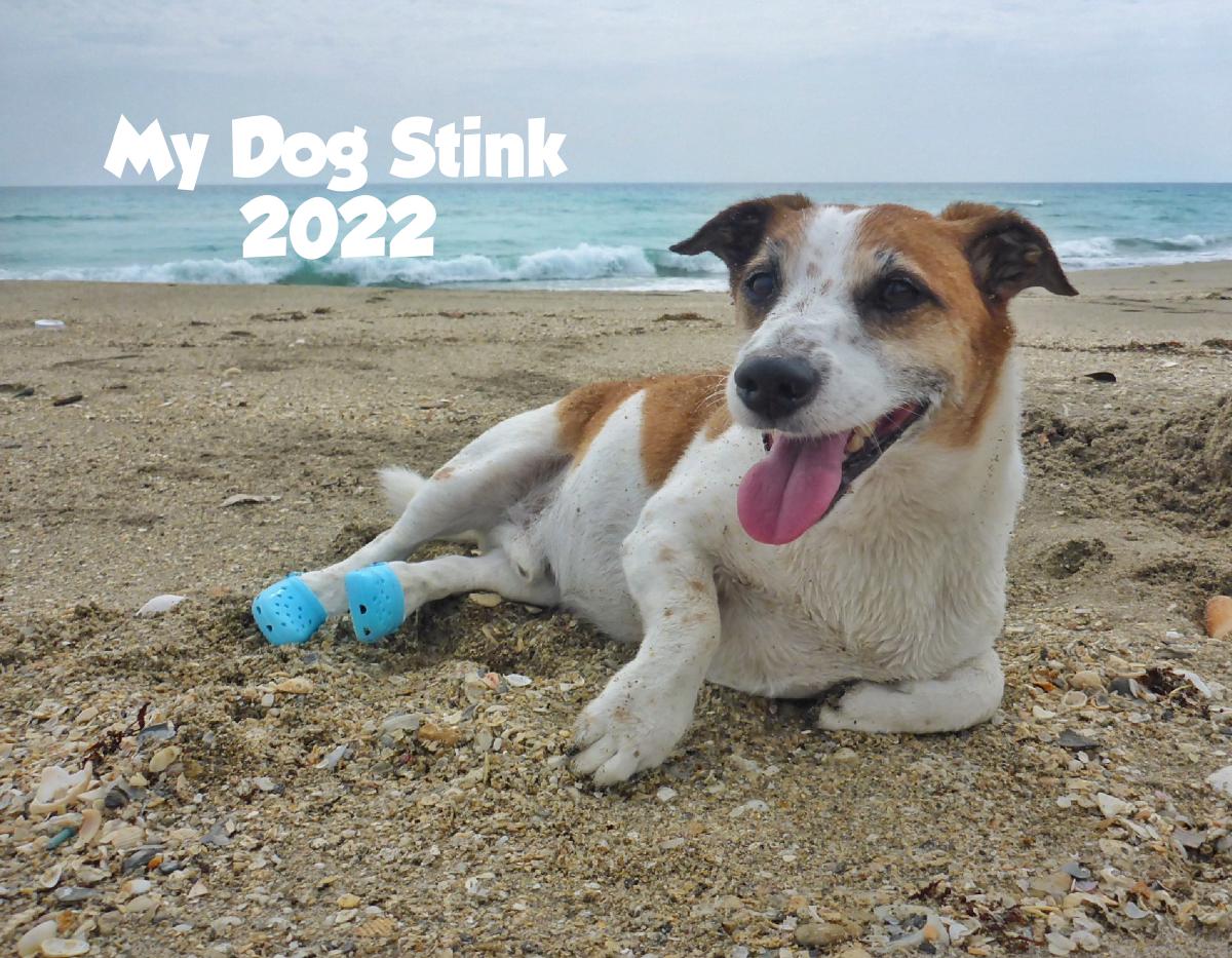 Sea Dogs 2022 Schedule My Dog Stink 2022 Calendar | Create Photo Calendars