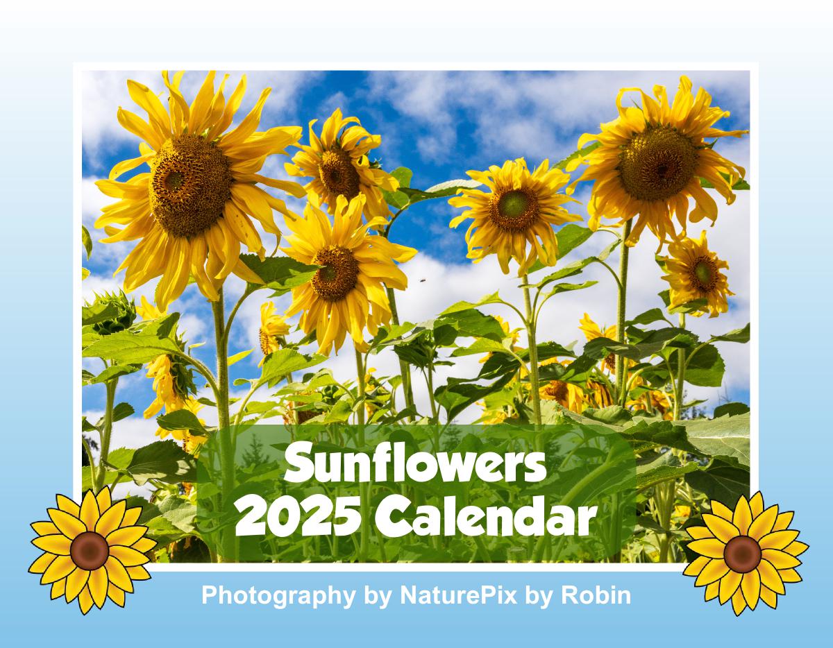 A Year of Sunflower Splendor - 2025 Calendar