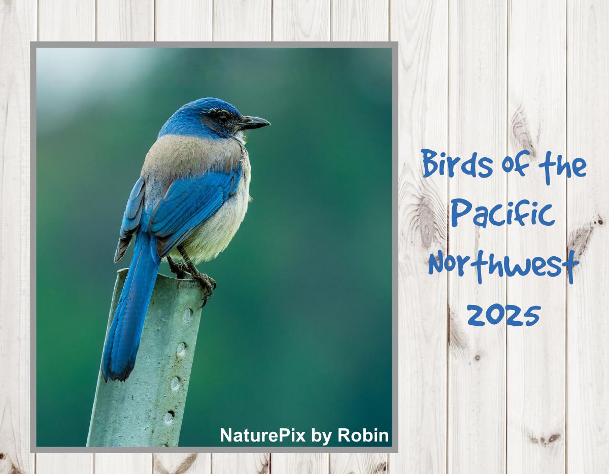 Birds of the Pacific Northwest 2025 Calendar