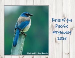 Birds of the Pacific Northwest 2025 Calendar