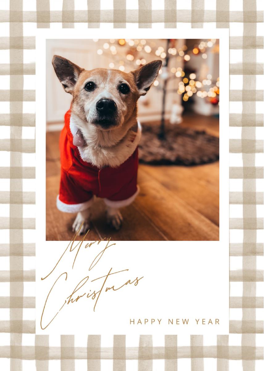 Christmas Card Billy