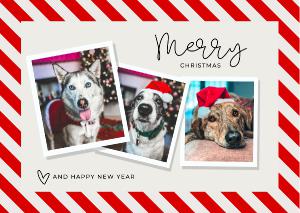 Christmas Card Merry Woofmas