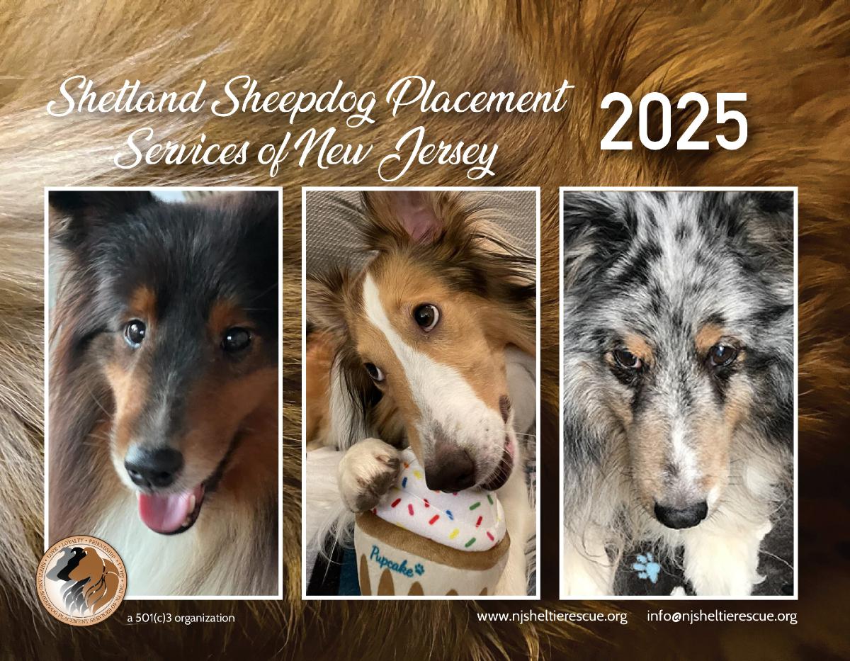 2025 SSPSNJ Rescue Calendar