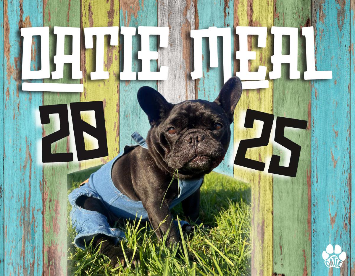 Oatie Meal 2025 Calendar