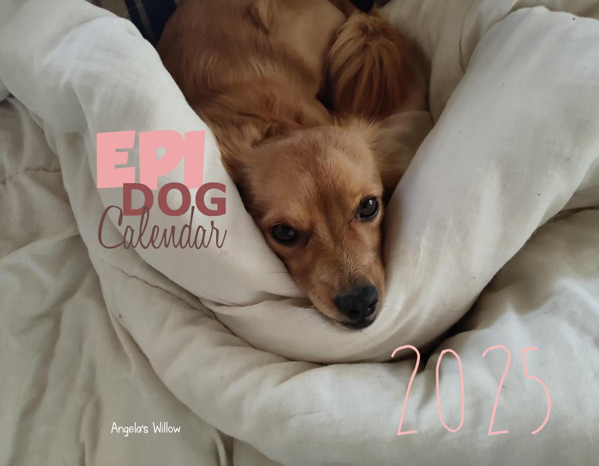 Epi4Dogs 2025 Cal #AH3