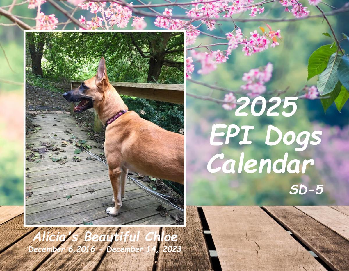 Epi4Dogs 2025 Cal #SD5